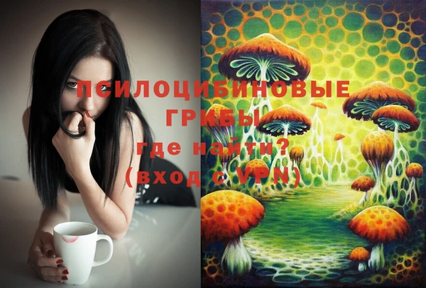 тгк Абаза