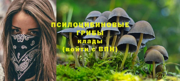 шишки Абдулино