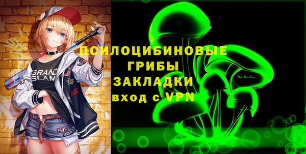 тгк Абаза