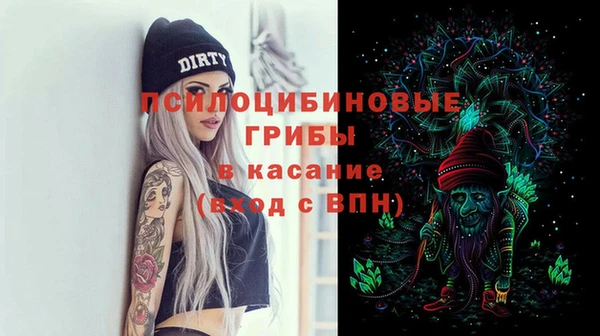 тгк Абаза