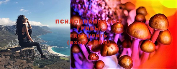 тгк Абаза