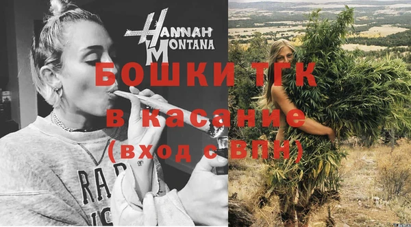 тгк Абаза