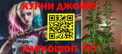 гидропоника Рязань