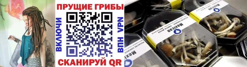 Псилоцибиновые грибы Psilocybe  даркнет Telegram  Саратов  наркотики 