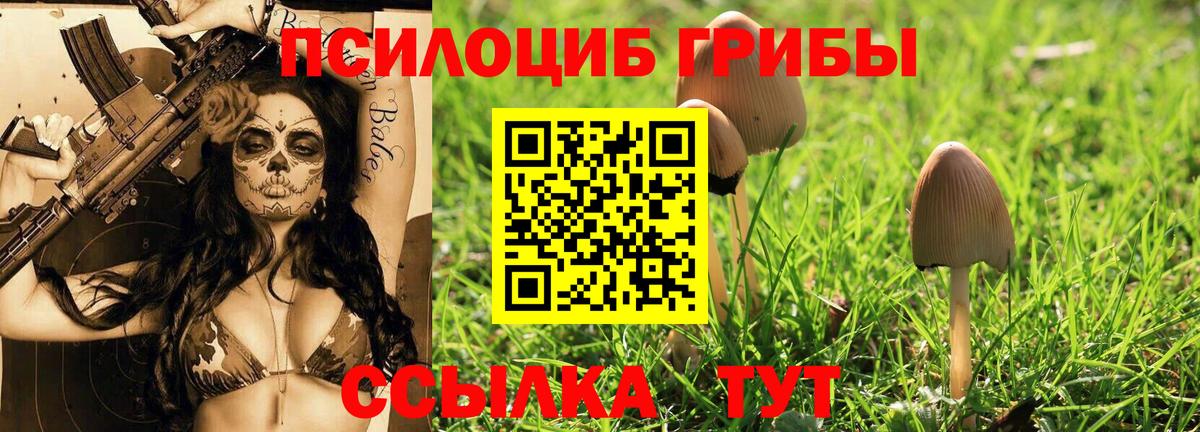 Галлюциногенные грибы Psilocybine cubensis  Вход с VPN  Саратов  купить  сайты  Галлюциногенные грибы прущие грибы 